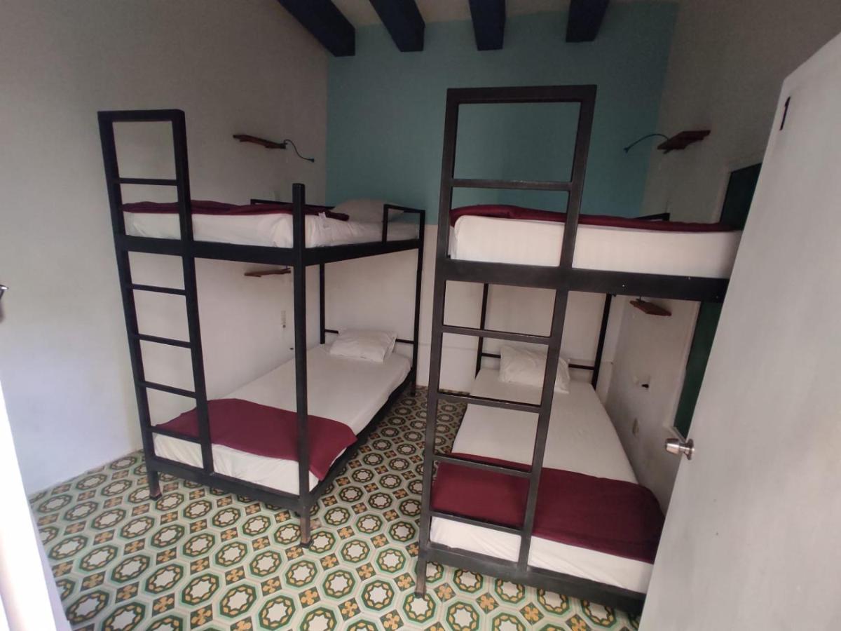 הוסטל קרטרו Blue Bicycle House מראה חיצוני תמונה