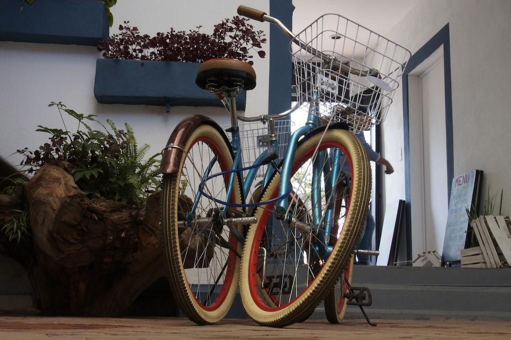 הוסטל קרטרו Blue Bicycle House מראה חיצוני תמונה