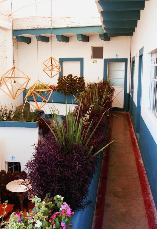 הוסטל קרטרו Blue Bicycle House מראה חיצוני תמונה