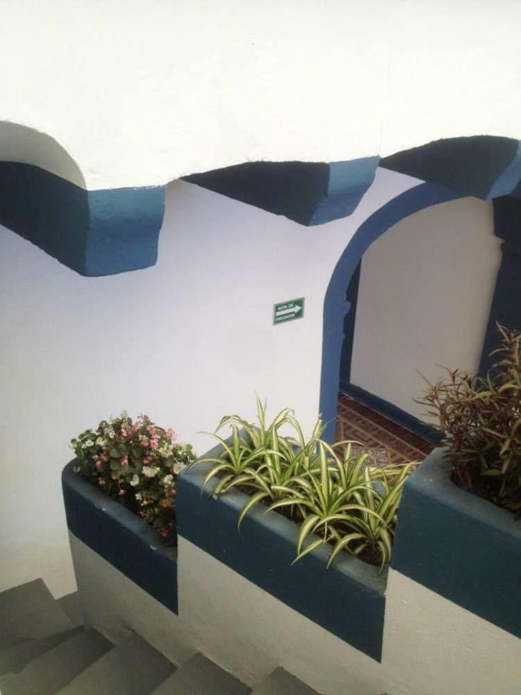 הוסטל קרטרו Blue Bicycle House מראה חיצוני תמונה